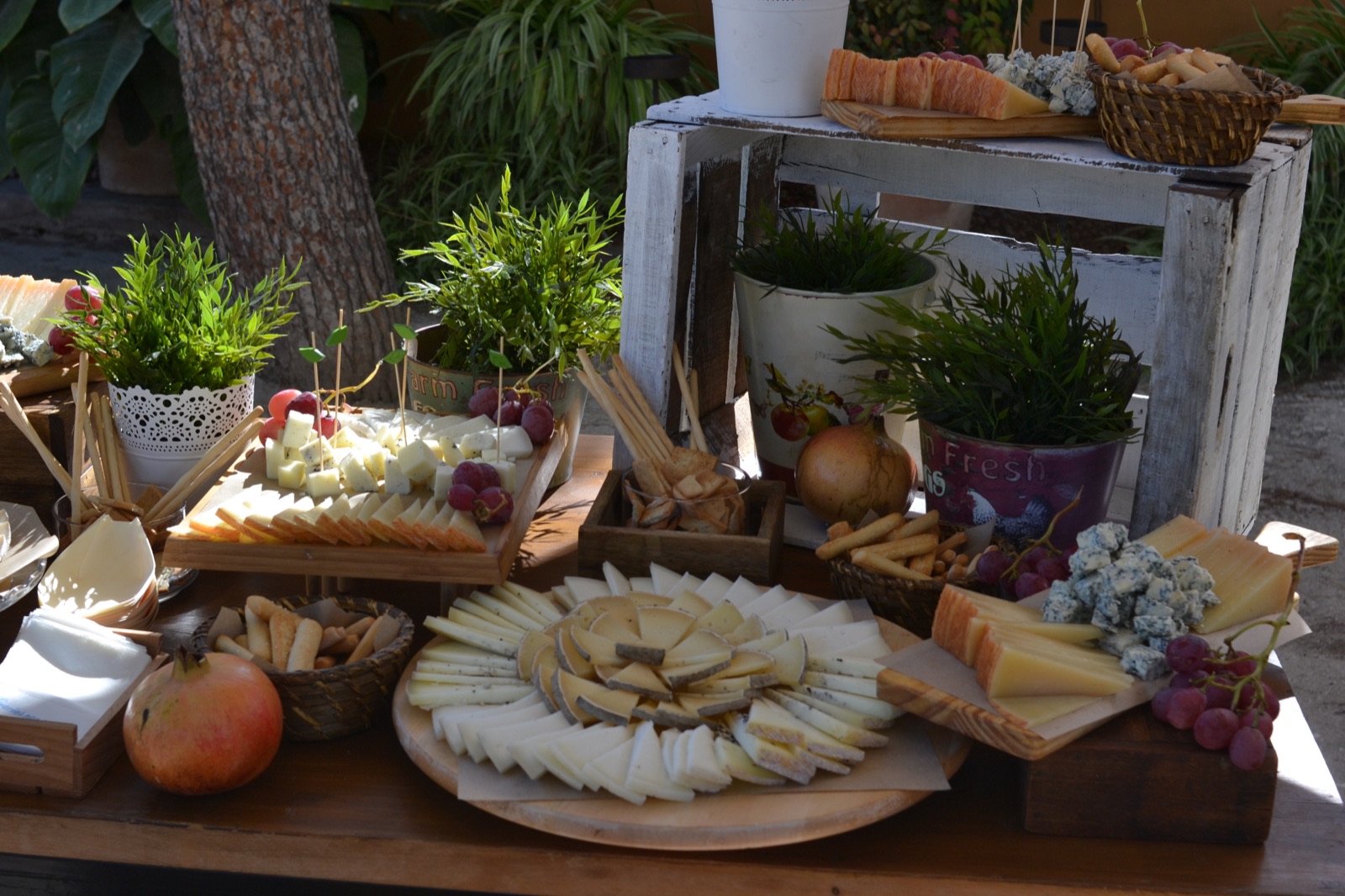 Buffet de quesos artesanos con panes y uvas