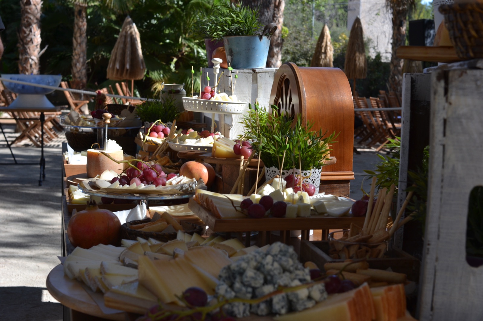 Mesa de quesos y uvas preparada para cóctel de boda